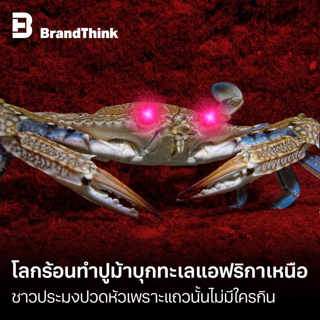 My Image 29