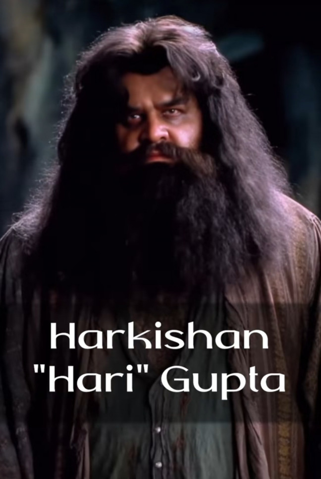 Harry Potter in Bollywood