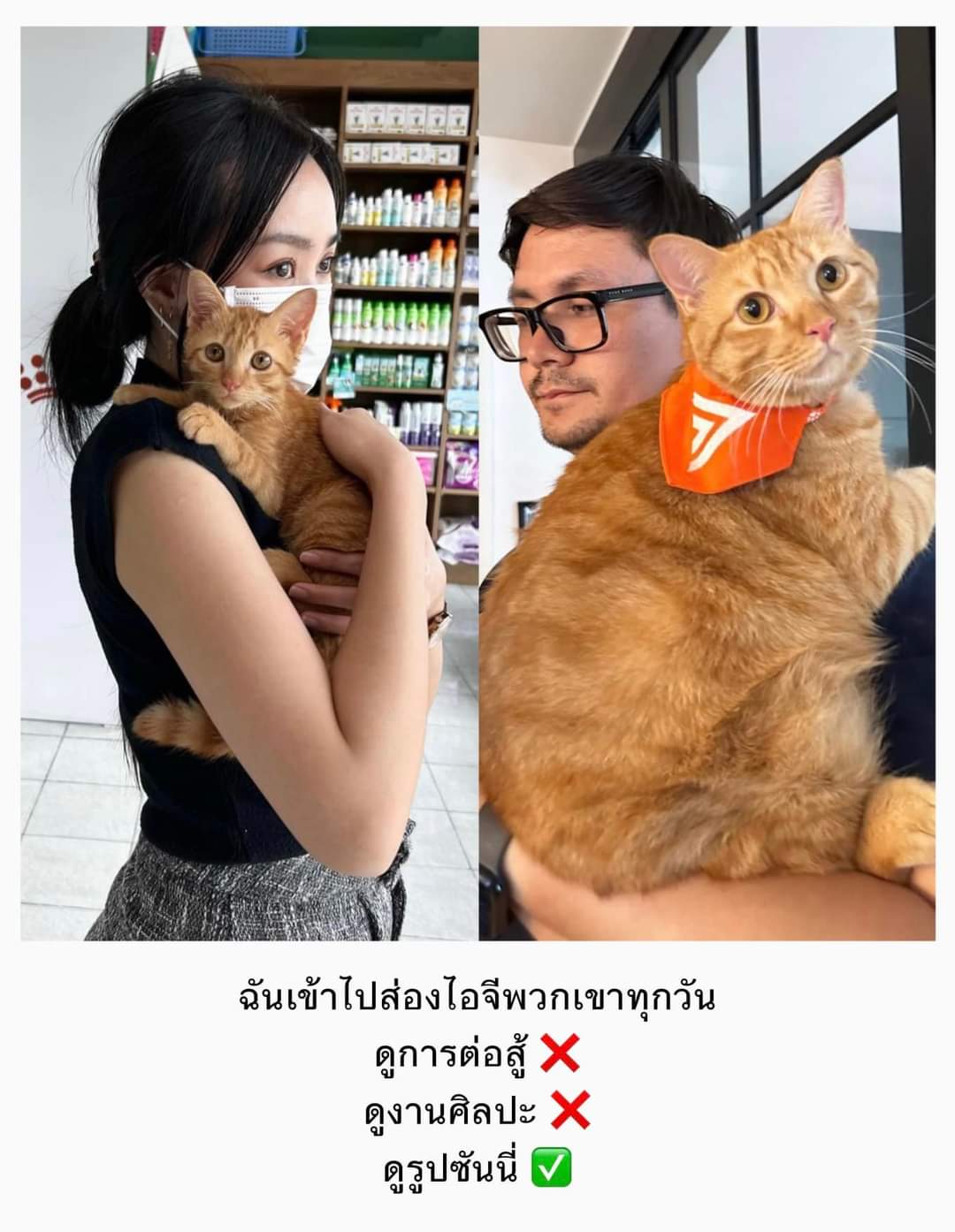 เรื่องของโรมกับอิวานา