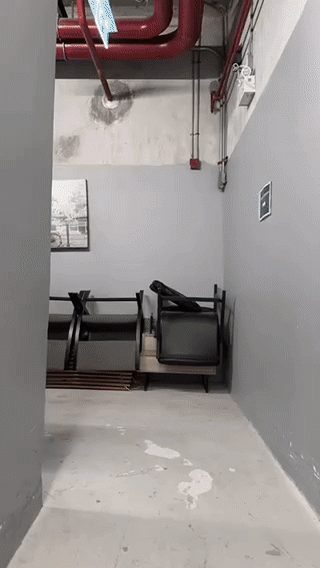 1AEA39A8-CAF0-4A72-8102-5015B4400967.gif