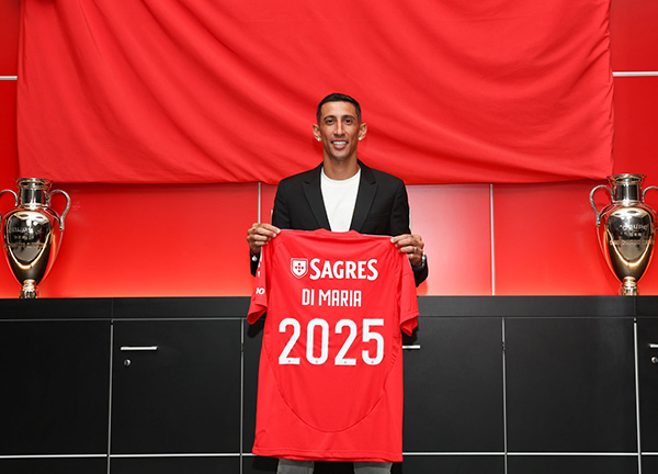 dimaria1.jpg